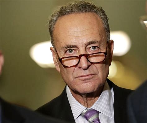 Chuck schumer, american politician who was elected as a democrat to the u.s. Chuck Schumer: FISA Memo 'Wild Speculation, Outright ...