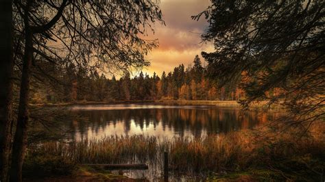 1920x1080 Resolution Forest Lake Landscape 1080p Laptop Full Hd
