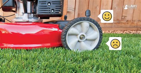 Ultimate Guide To Mowing Your Lawn Lawn Solutions Australia