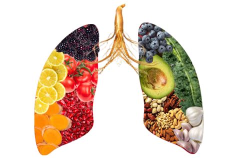 Diet Recommendations For Stage 4 Lung Cancer Patients Oncohep