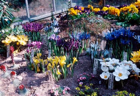 Maybe you would like to learn more about one of these? Pflanzenwelten « Verein Freunde des Botanischen Gartens ...