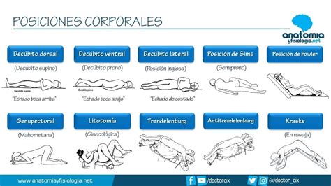 POSICIONES CORPORALES Resúmenes de Anatomía y Fisiología Anatomia