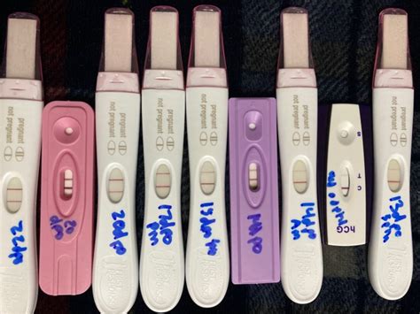 Pregnancy Test Line Progression Glow Community