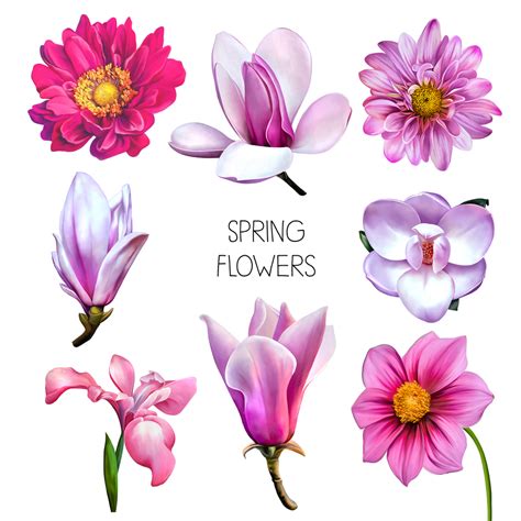 Nomi e immagini di fiori di primavera (35 foto. Nomi Fiori - Tutti i nomi dei fiori. - Boasfestas Wallpaper