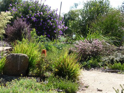 Garden Design With Australian Native Plants
