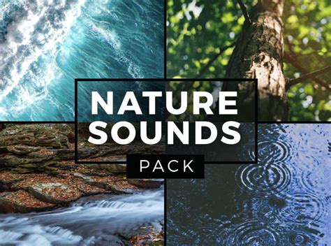 Nature Sounds Pack Indie Music Box