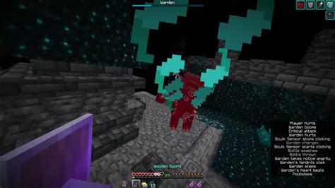 Minecraft Warden Defeated Hard Difficulty No Armor Sharpness 5