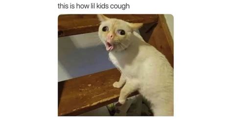 Wth Is Coughing Cat Meme Twitter Is Nuts Over This