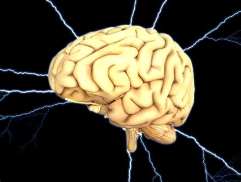 Amygdala Unser Angstmechanismus Im Gehirn Angst