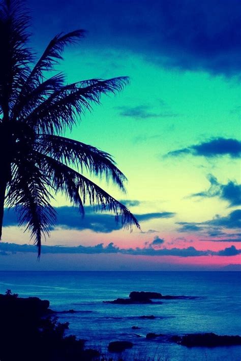 Water Blue Pink Beach Sunset Hawaii Palmtree