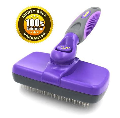 Best Dog Brush For Labradors And Other High Shedding Breeds