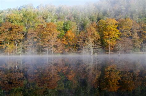 Here Are The Best Times And Places To View Fall Foliage In