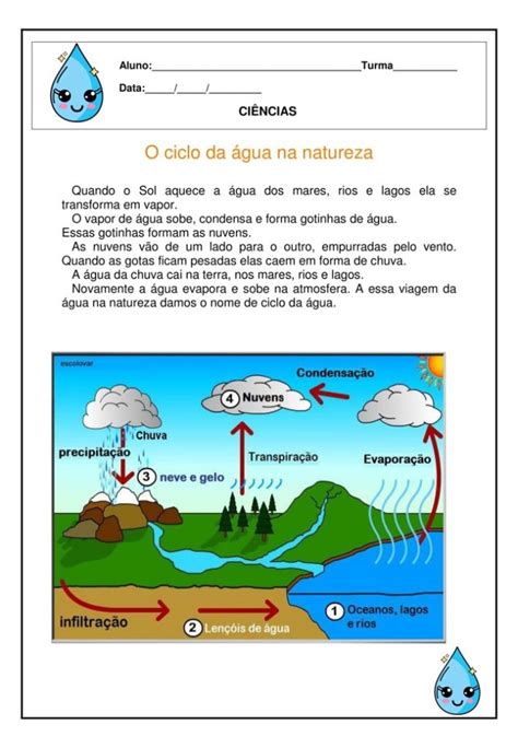 O Ciclo Da água Na Natureza Coruja Pedagógica