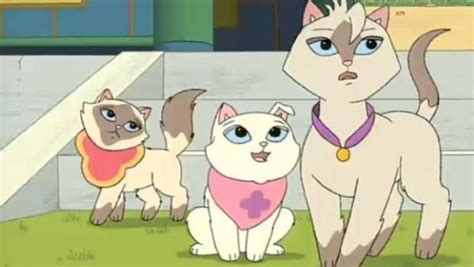 Sagwa The Chinese Siamese Cat Cartoon Cartoon Tv Shows Siamese Cats