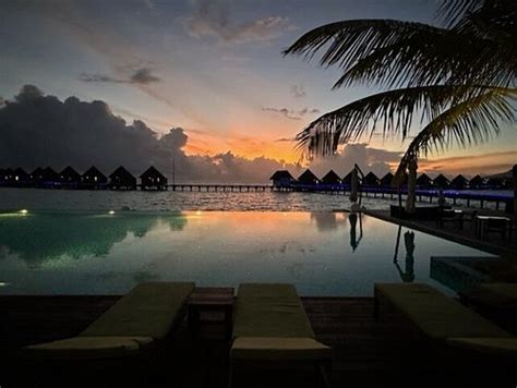 Mercure Maldives Kooddoo Resort 2023 Prices And Reviews Photos Of
