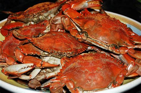 Natural North Florida Dining Essentials How To Eat A Blue Crab Visit