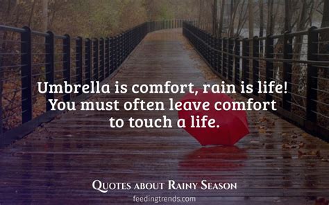 30 Rainy Season Quotes That Express The Joy Of Seeing The Clouds