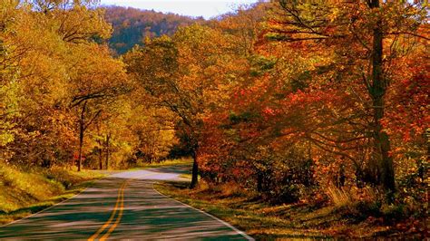 Autumn Road Photograph By Arlane Crump Fine Art America