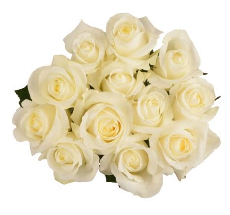 Passion Growers Dozen Fresh Cut White Roses Approximate Delivery Is 1