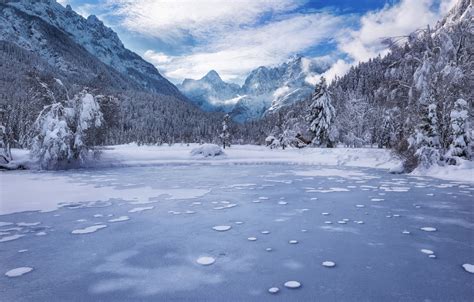 Wallpaper Winter Forest Mountains Lake Slovenia Slovenia Kranjska