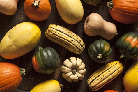 Squash Definition Summer Squash Winter Squash Examples And Facts