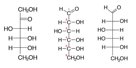 Carbohydrates Molecule Structure