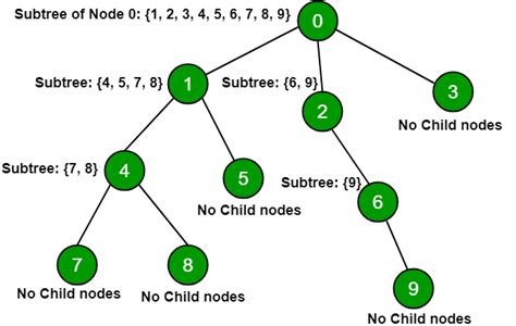 Subtree Of All Nodes In A Tree Using Dfs Geeksforgeeks