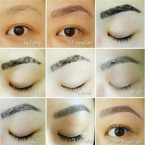 Microblading Scabbing Day By Day What To Expect