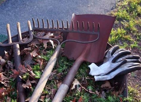 Essential Garden Tools 10 Must Haves Bob Vila