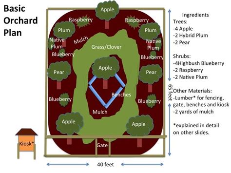 Orchard Plan Orchard Design Orchard Layout Fruit Orchard Layout