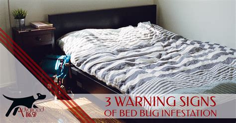 Carefully examine the creases and seams of. Bed bug Detection: 3 Early Warning Signs of Infestation