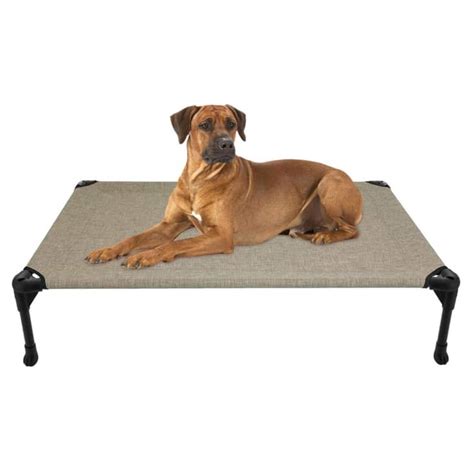 9 Best Elevated Dog Beds 2022 Chew Proof Cooling Stylish Apartment