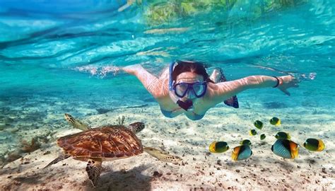 Mejores Lugares Del Mundo Para Hacer Snorkel Turismo