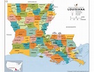 Buy Louisiana County Map