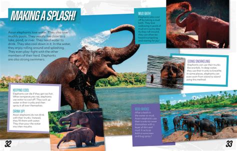 Saving The Asian Elephant Meet Scientists Lerner Publishing Group