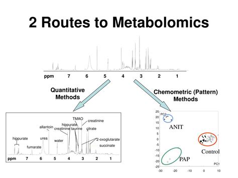 Ppt Metabolomics The Basics Powerpoint Presentation Free Download