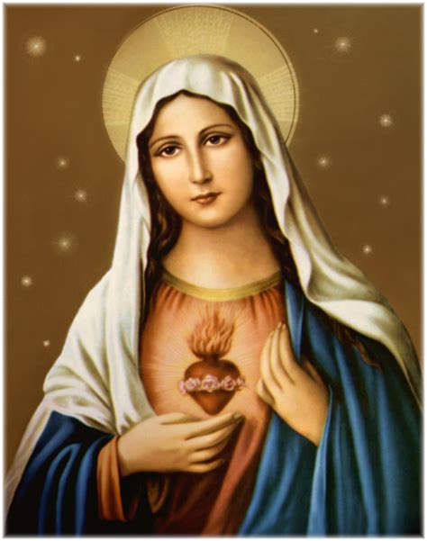 Sacred Heart Of Blessed Virgin Mary Blessed Virgin Mary Mama Mary