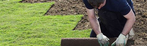 Controlling weeds in a texas lawn can be done through proper maintenance and persistence. The Best Time to Install Sod in South Texas | San Antonio Landscaping