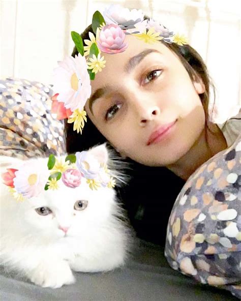 alia bhatt posing with her cat edward bhatt on international cat day meet bollywood celebs