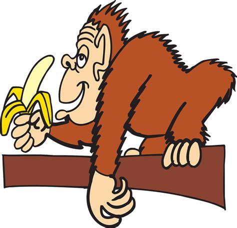 Picture Of Monkey With Banana Clipart Best