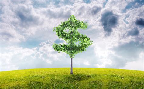 7 Compelling Reasons Why Your Business Should Be Going Green Now
