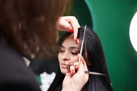 professional hairdresser making haircut for female client close up picture of hair stylist`s