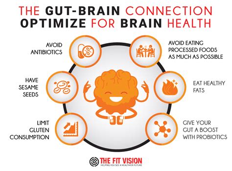 The Gut Brain Connection What Is It And How You Can Optimize It For Better Brain Health The