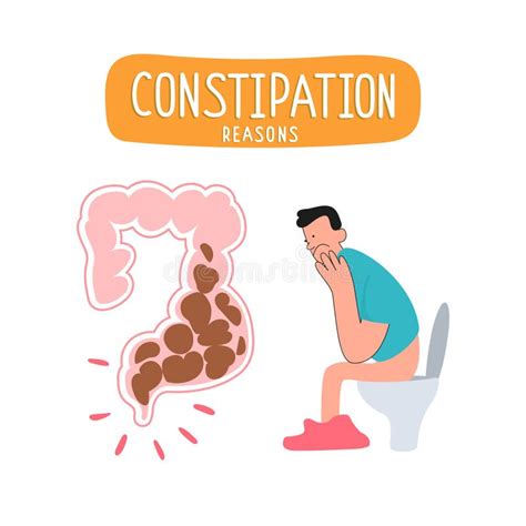 Defecation Problems Diarrhea Constipation Stock Illustrations 10