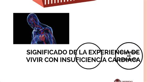 Significado De La Experiencia De Vivir Con Insuficiencia Cardiaca By