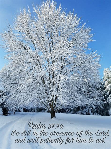 A Tree Covered In Snow With A Bible Verse Written On The Front And