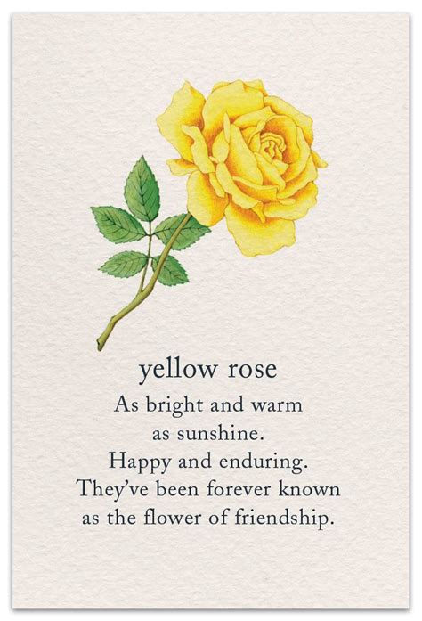 The flowers are often associated with sunshine and can brighten up your loved one's day instantly! Yellow Rose | Birthday Card | cardthartic.com | Flower ...