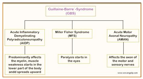 Guillain Barré Syndrome GBS We Care