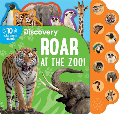 Discovery Roar At The Zoo Book By Thea Feldman Official Publisher