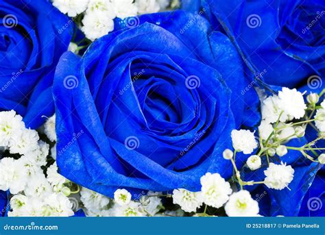 Bouquet Of Blue Flowers Roses Stock Image Image Of Flower Delicate